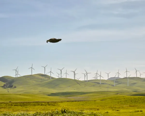 Blackfly flying over wind farm