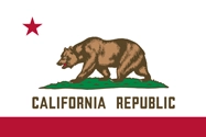 State Flag